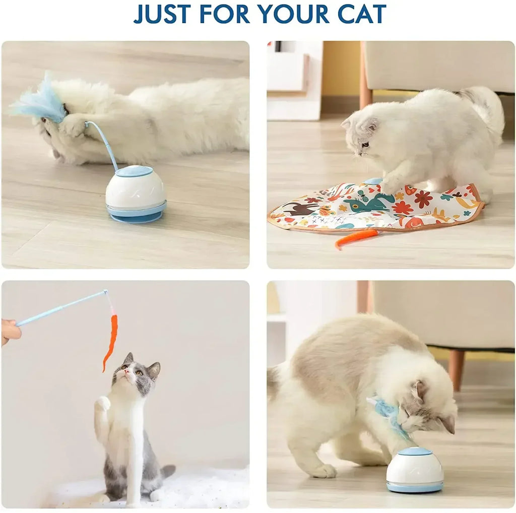 Smart Cat Toys-4